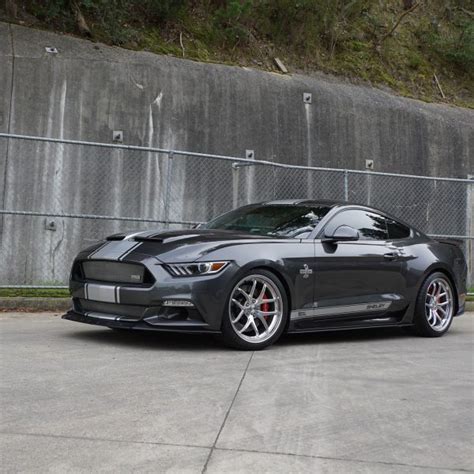 Shelby 2015 17 Super Snake 50th Anniversary Bonnet Eastside Mustang