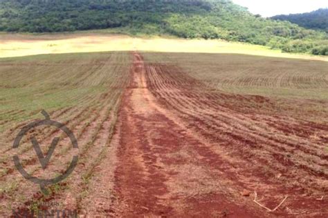 Fazenda 146 Alqueires Plantando 82 Jandaia Do Sul PR