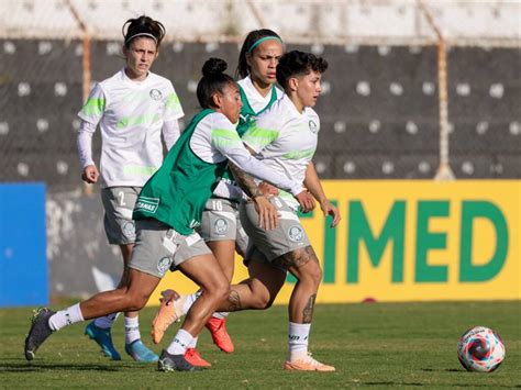 Ec S O Bernardo X Palmeiras Informa Es E Onde Assistir Ao Jogo Pelo