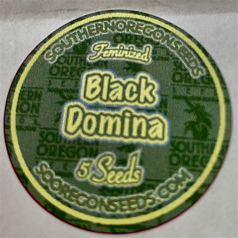 Black Domina Feminized Southern Oregon Seeds