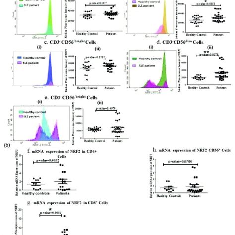 Determination Of Expression Of KIRs In NK Cell Subsets From Samples Of