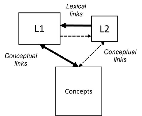 2. Revised Hierarchical Model.In this model, the two language... | Download Scientific Diagram