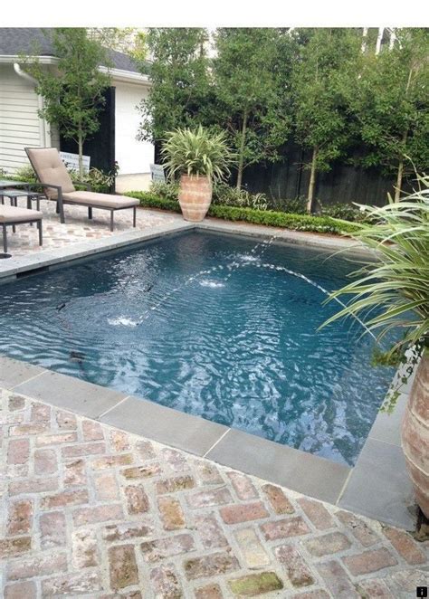 Pool Privacy Landscaping Ideas - Small Tv Room Ideas