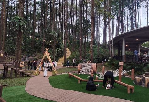 Menikmati Slow Living Di Enchanting Forest The Grand Taman Safari