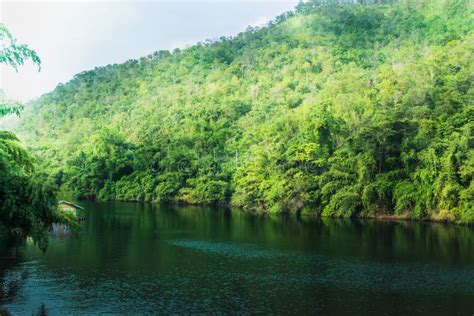 A Luz Na Tarde Dos Lugares Que Acampam Na Cachoeira De Erawan A