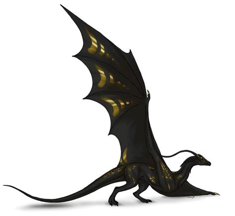 Black Wyvern By Rowy16 On Deviantart