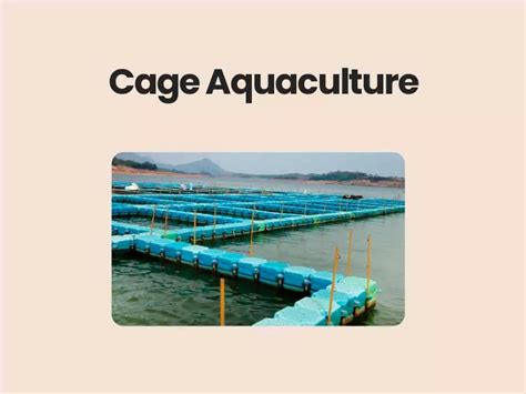 Cage Aquaculture Explained Upsc Civils360 Ias