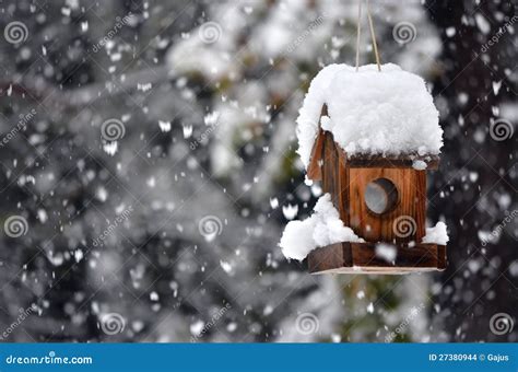 Bird house in winter stock photo. Image of seed, shelter - 27380944