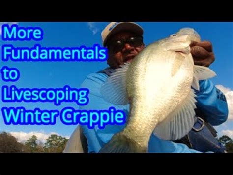 Livescope Fundametals In Adverse Weather Conditions Livescope Crappie