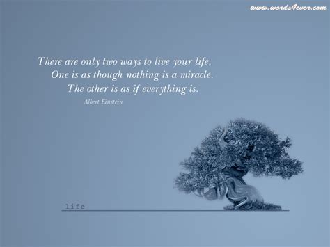 Tree Of Life Quotes And Sayings. QuotesGram