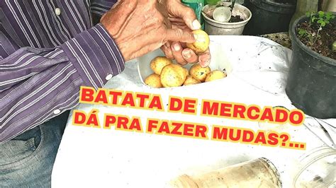 como preparar mudas de batatas Inglesa para plantar no vaso Vídeo 1