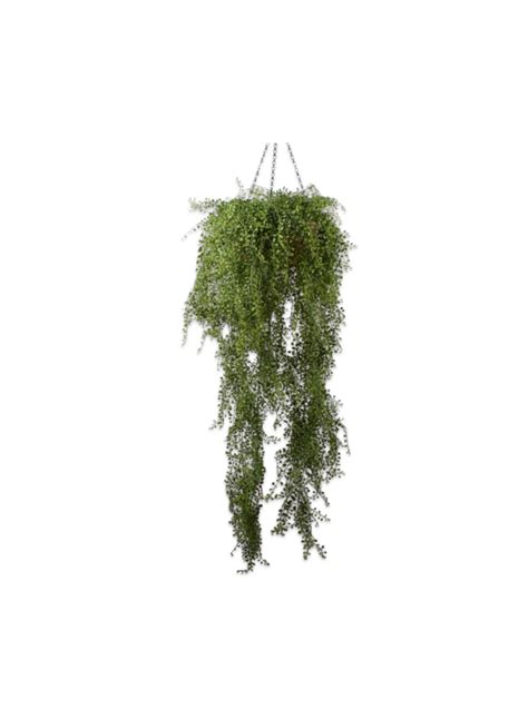 Plant Hang Groen 150 Cm NU PUUR GROEN B V