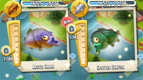 Hay Day Fishing New Fish 🐟 Gameplay Level 28 Part 133 Youtube