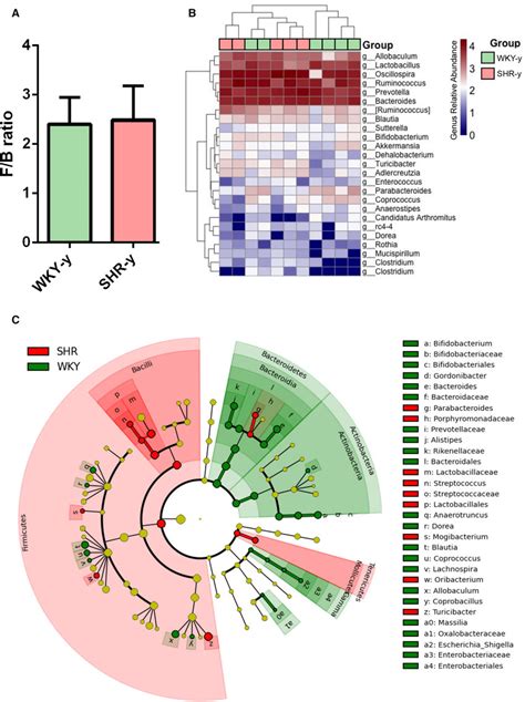 Gut Microbial Community Is Altered In Hypertensive Spontaneously