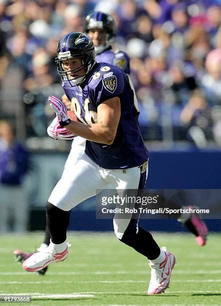 551 Ravens Todd Heap Stock Photos, High-Res Pictures, and Images ...