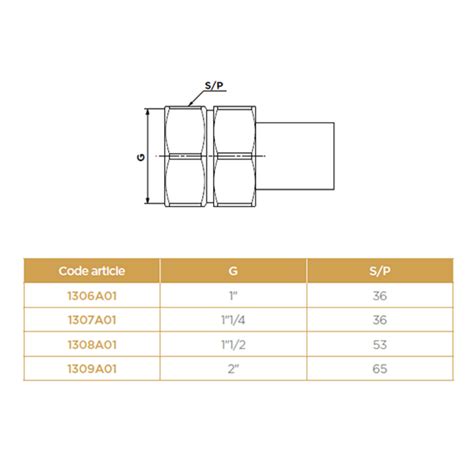 Raccord 3 PCS MF SCPS Tn