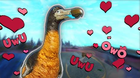 🦤 I M A Cute Dodo 💕 Roblox Cenozoic Survival Youtube