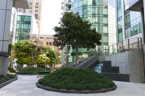 Office Building Landscaping