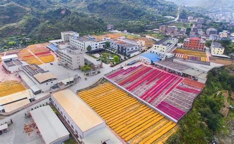 福建永春县：这3万的福建人，承包中国80 的“神香”，年产值74亿 百科ta说