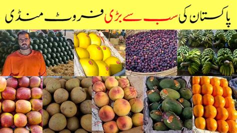 Biggest Fruits Market In Karachi Wholesale Fruit Market Fruit Mandi