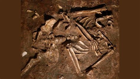 Descubren Impresionante Esqueleto Neandertal En Una Cueva De Irak INVDES