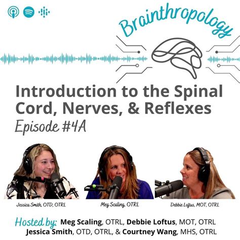 04a Introduction To The Spinal Cord Nerves And Reflexes