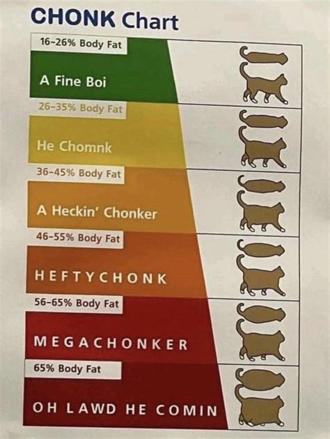 Chonk Chart : r/OverdoseOfCuteness