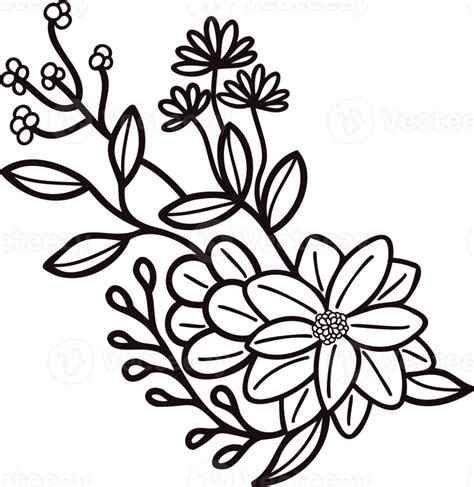 Hand Drawn Flowers With Twigs In Doodle Style 24207240 Png