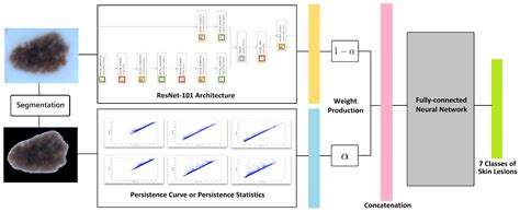 Mathematics Free Full Text Toporesnet A Hybrid Deep Learning