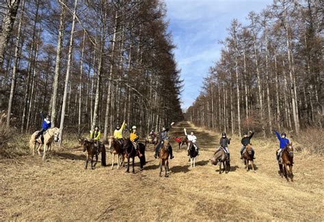 カナディアンキャンプ乗馬クラブ 八ヶ岳 カナディアンキャンプ乗馬クラブ 八ヶ岳での乗馬は当クラブへ