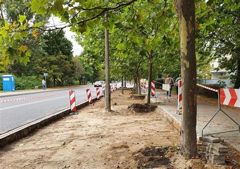 Ekologiczna transformacja na Pradze Południe zazieleniamy ulicę