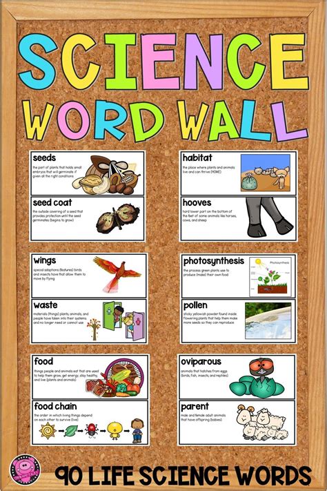 Science Word Wall This Plants And Animals Life Science Bulletin Board