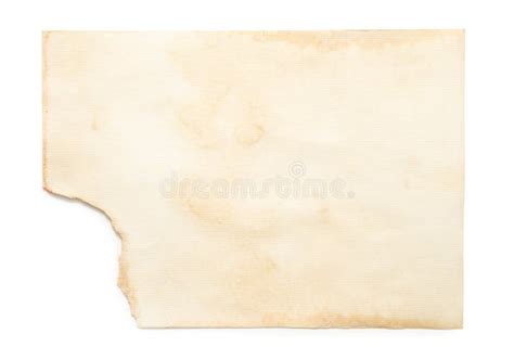 Vintage paper texture. stock photo. Image of surface - 262981152