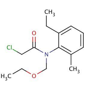 Acetochlor CAS 34256 82 1 SCBT Santa Cruz Biotechnology