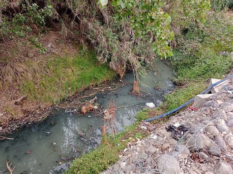 CORTE SUPREMA DECLARA ADMISIBLE RECURSO DE PROTECCIÓN POR CONTAMINACIÓN