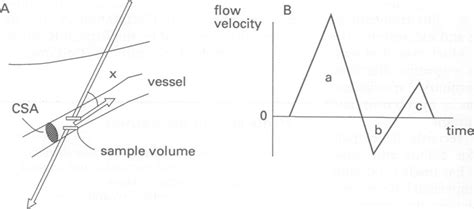 Method For Determination Of The Blood Flow Index Bfi A Two