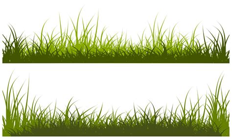 Dry Grass Dead Grass 6552315 Vector Art At Vecteezy