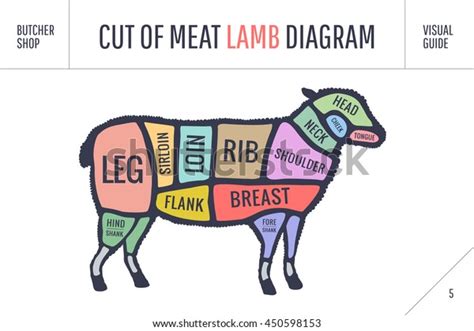 Cut Beef Set Poster Butcher Diagram Stock Vector Royalty Free 450598153