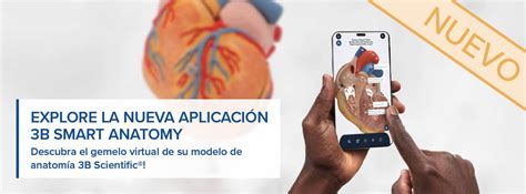 Simulación Y Entrenamiento De Habilidades Clínicas Para La Educación Médica 3b Scientific