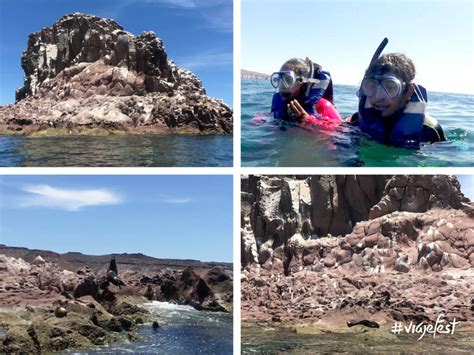 Isla Espíritu Santo Viajefest