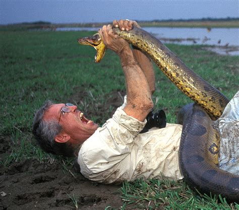 Photographing Wildlife -- Photo Tips -- National Geographic