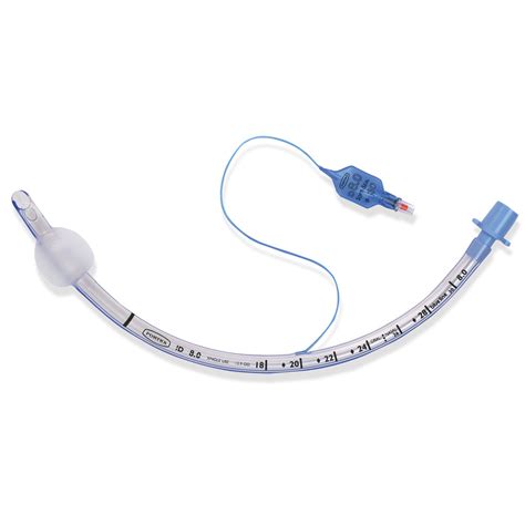 Airway Management Parts 1 2 And 3 Diagram Quizlet