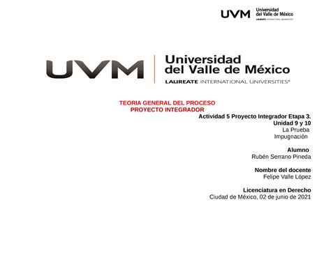 Sentencia Pi Ultimo Trabajo Teoria General Del Proceso Proyecto