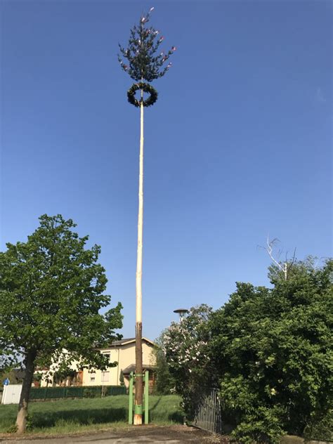 Maibaum Aufstellen Freiwillige Feuerwehr Rust