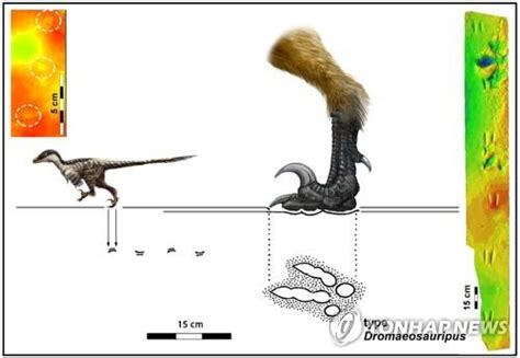진주서 발견 1㎝ 랩터 공룡발자국 화석세계 최소 인정 Zum 허브