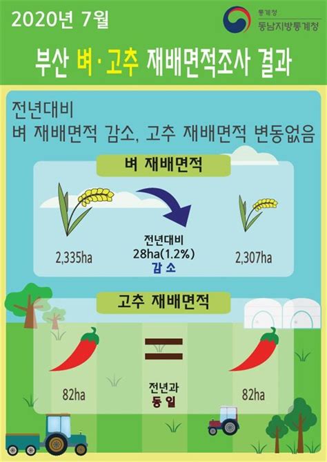 부산 벼 재배면적 ‘소폭 감소