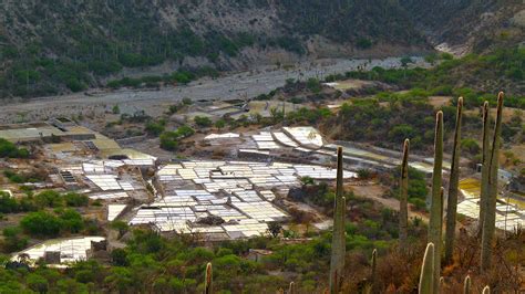 Zapotitlan De Las Salinas San Juan Raya Tierraventura Ecotours