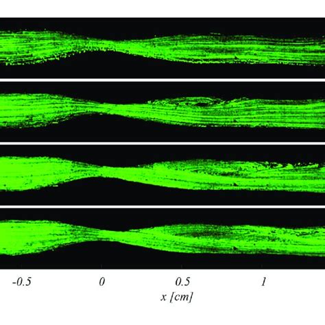 Particle Trajectories Based Visualization Of The Flow Patterns In The