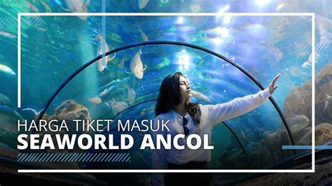 Harga Masuk Seaworld Newstempo