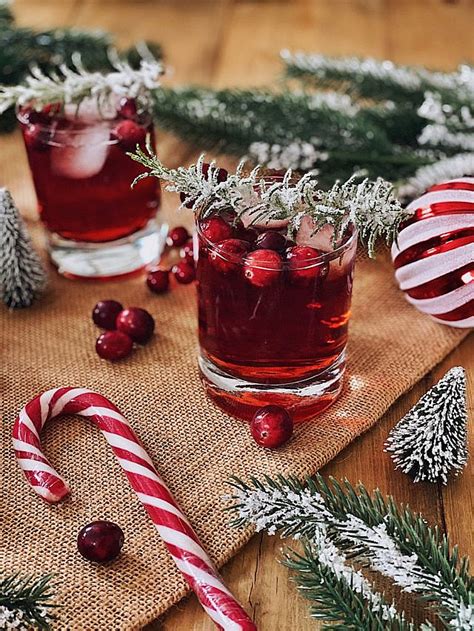 Christmas Cranberry Gin Cocktail Fashion Kitchen